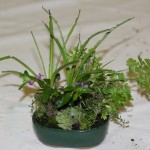 Our finished accents_10