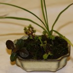 Our finished accents_12