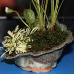 Our finished accents_16