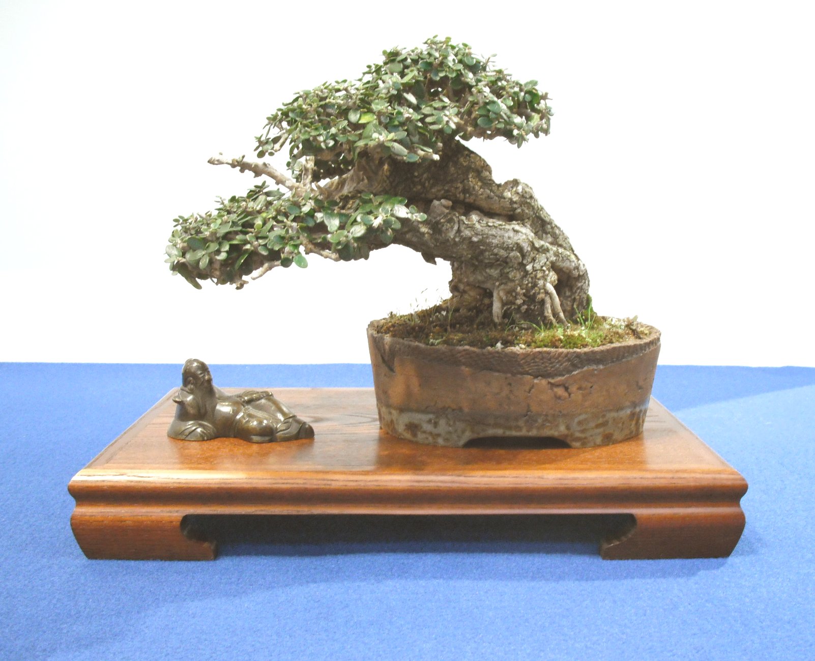 Dscf2759 Dscf2759