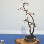 Dscf2761 Dscf2761