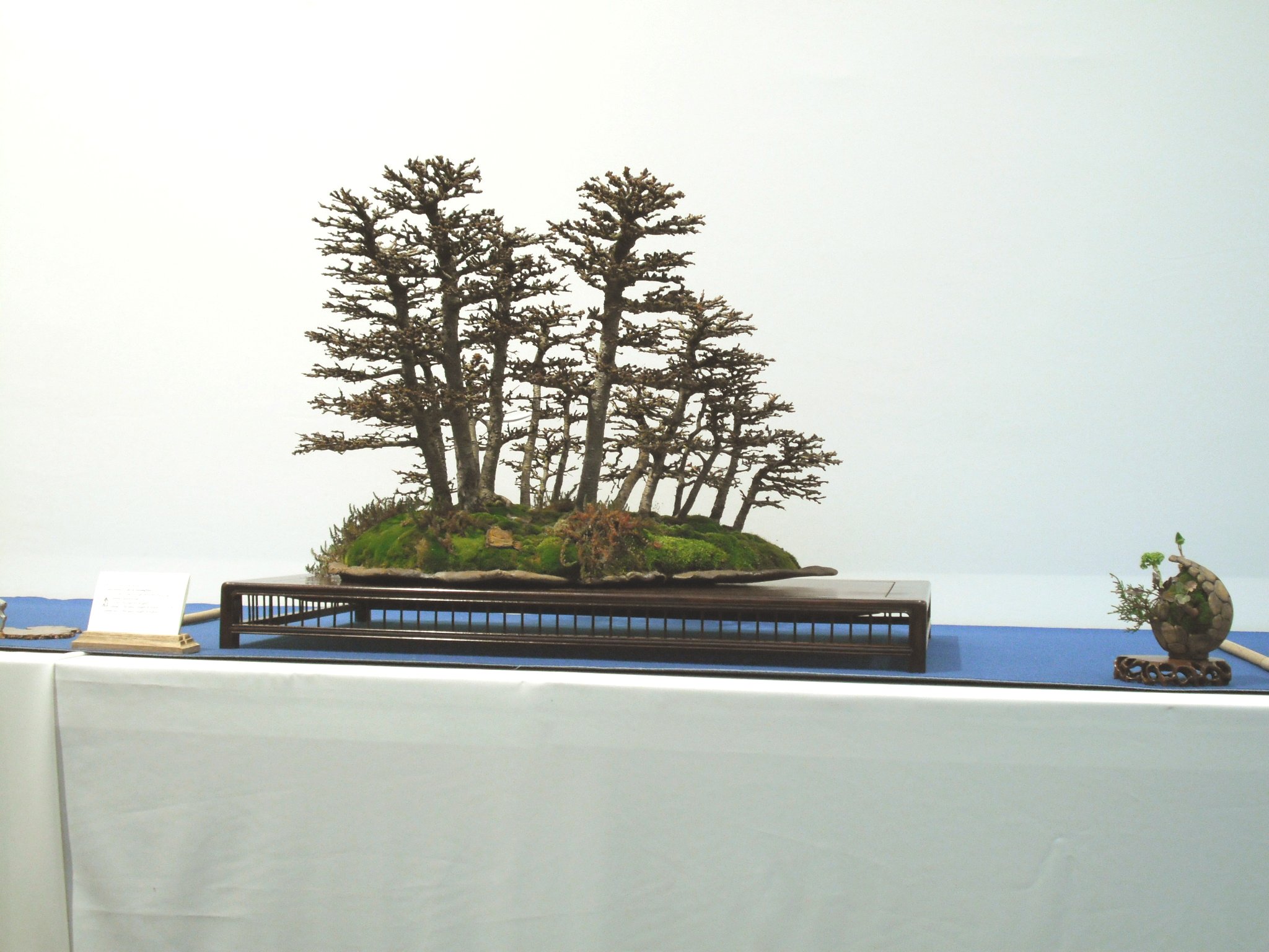 Dscf2768 Dscf2768