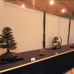 Artistic Bonsai Circle Best visiting Society