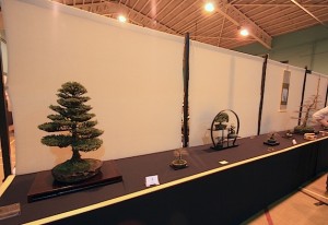Artistic Bonsai Circle Best visiting Society