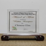 Award of Merif