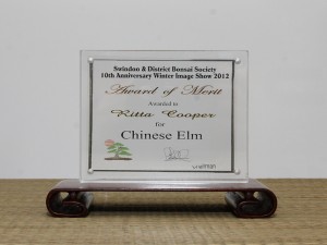 Award of Merit Award of Merif