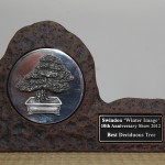 Best Deciduous award