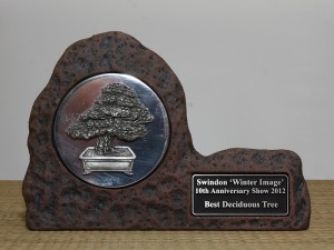 Best Deciduous award