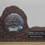 Best Shohin Display award