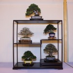 Best Shohin Display - our nana-ten Best Shohin Display - our nana-ten