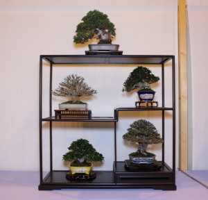 Best Shohin Display - our nana-ten Best Shohin Display - our nana-ten