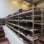 Bonsai Pots Bonsai Pots