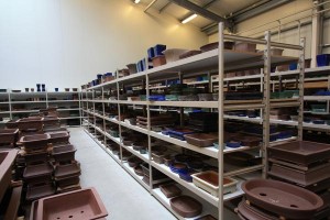 Bonsai Pots