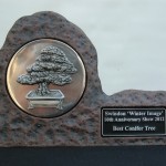 Best Conifer award
