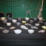 John Pitt Ceramics John Pitt Ceramics