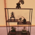 Mame display
