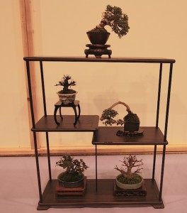 Mame display Mame display
