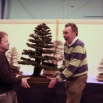 Moving Yew Moving the Yew tree