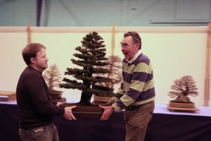 Moving the Yew tree
