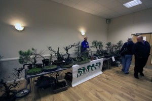 SNS Yamadori