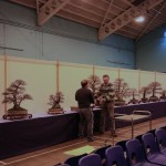 Shuffle trees Let the shuffle of the Bonsai trees begin