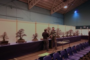 Let the shuffle of the Bonsai trees begin