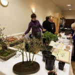Swindon Sales table