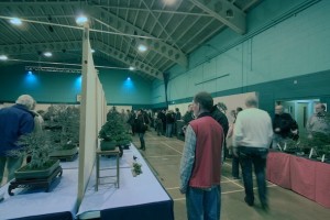 Visitors to our show