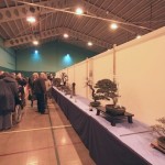 Visitors to our show Visitors to our show