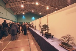 Visitors to our show Visitors to our show