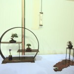 Wirral Bonsai Society received an award of merit