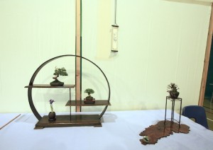 Wirral Bonsai Society Wirral Bonsai Society received an award of merit