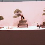 Wirral Bonsai Society