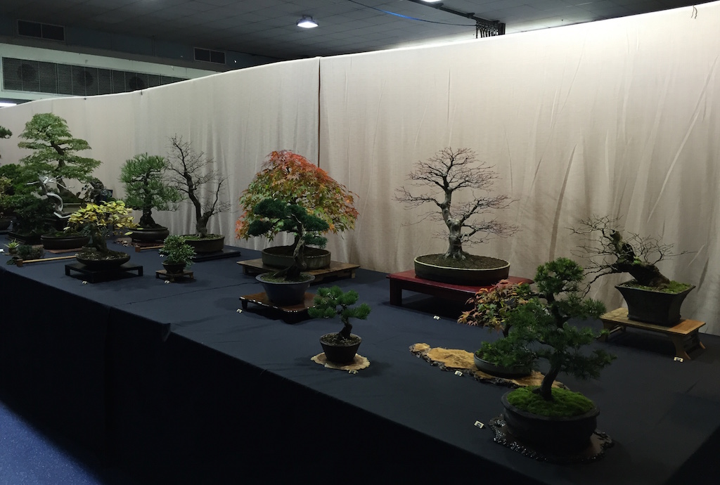 Heathrow Bonsai Show « Swindon & District Bonsai
