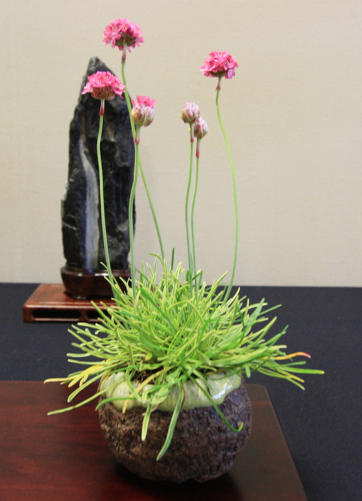 2nd International Magical Bonsai Accents Exhibition