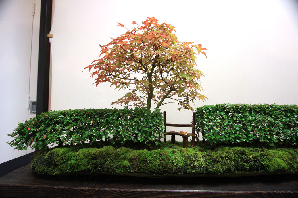 Bristol Bonsai Society Show