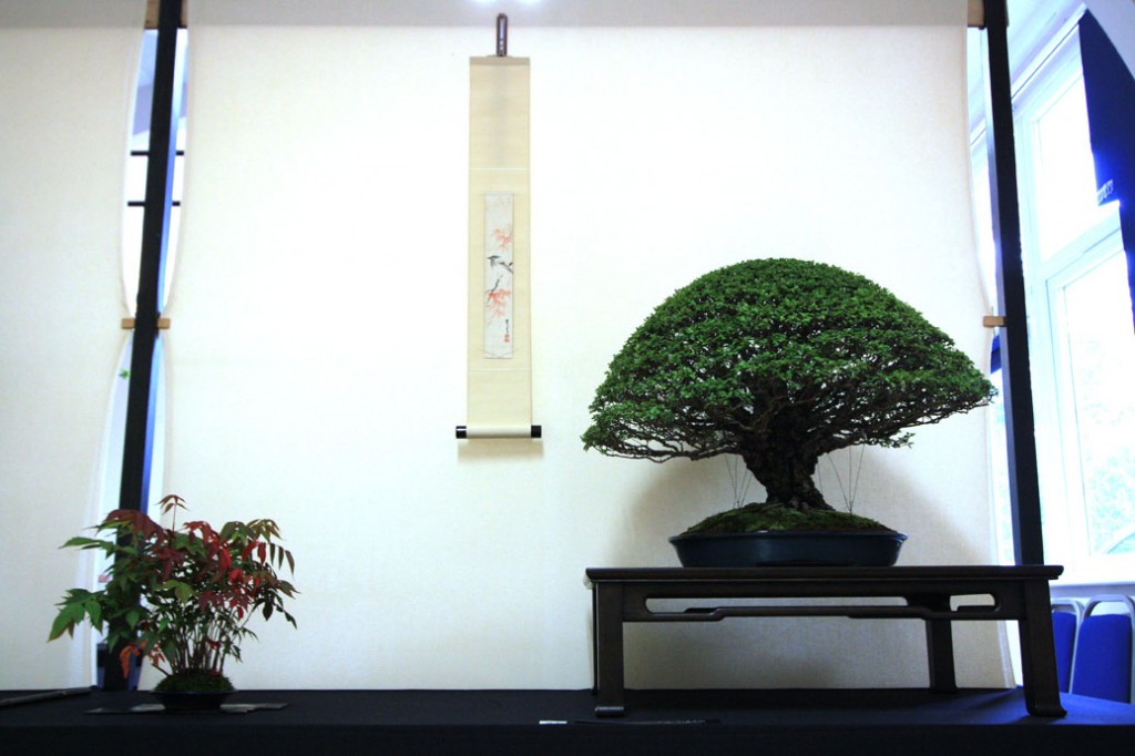 Bristol Bonsai Society Show