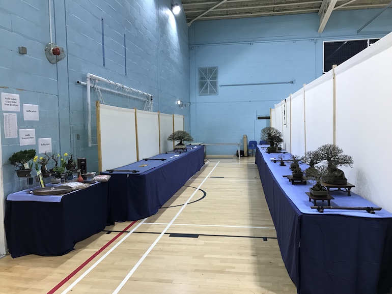 Swindon Winter Image Bonsai Show set up Swindon & District Bonsai