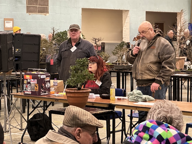 3rd UKBA Bonsai Auction Swindon & District Bonsai