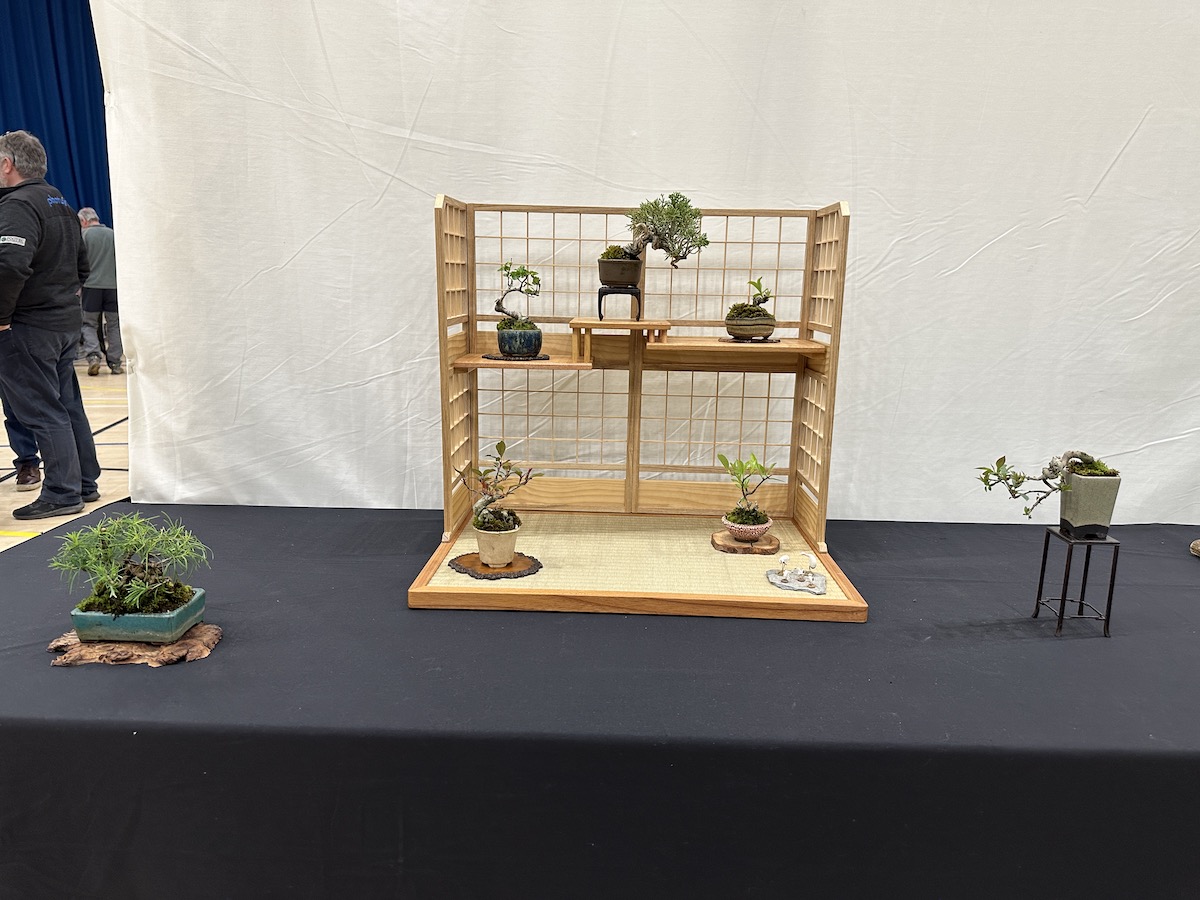 Expo Bonsai Show 2023